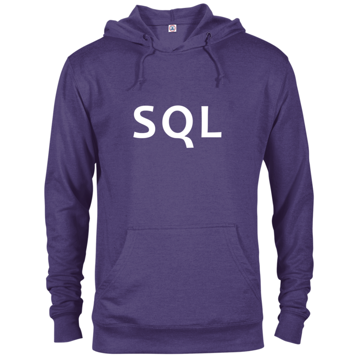 SQL Programming Authentic Comfort-Fit Hoodie - Bitcoin & Bunk